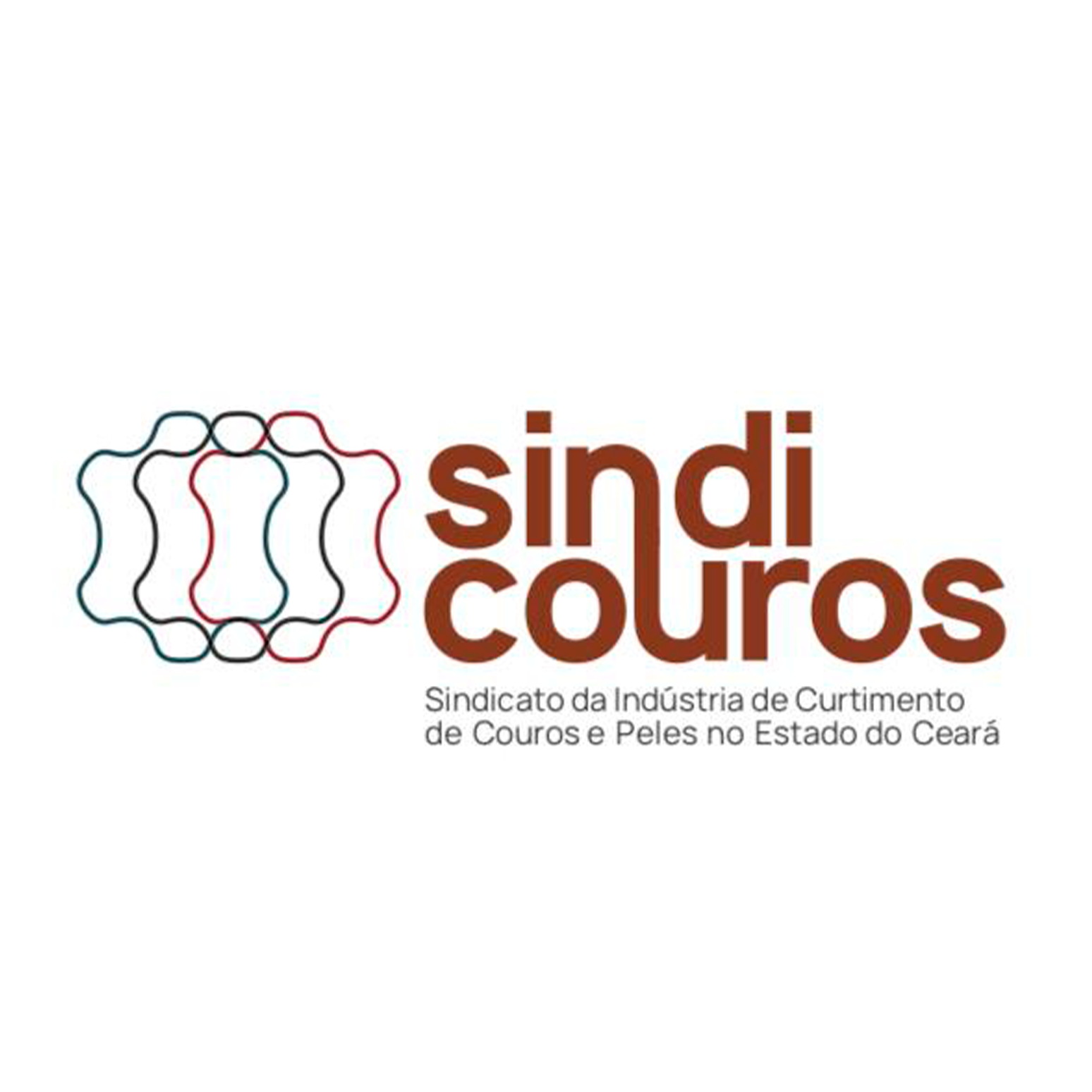 Sindicouros